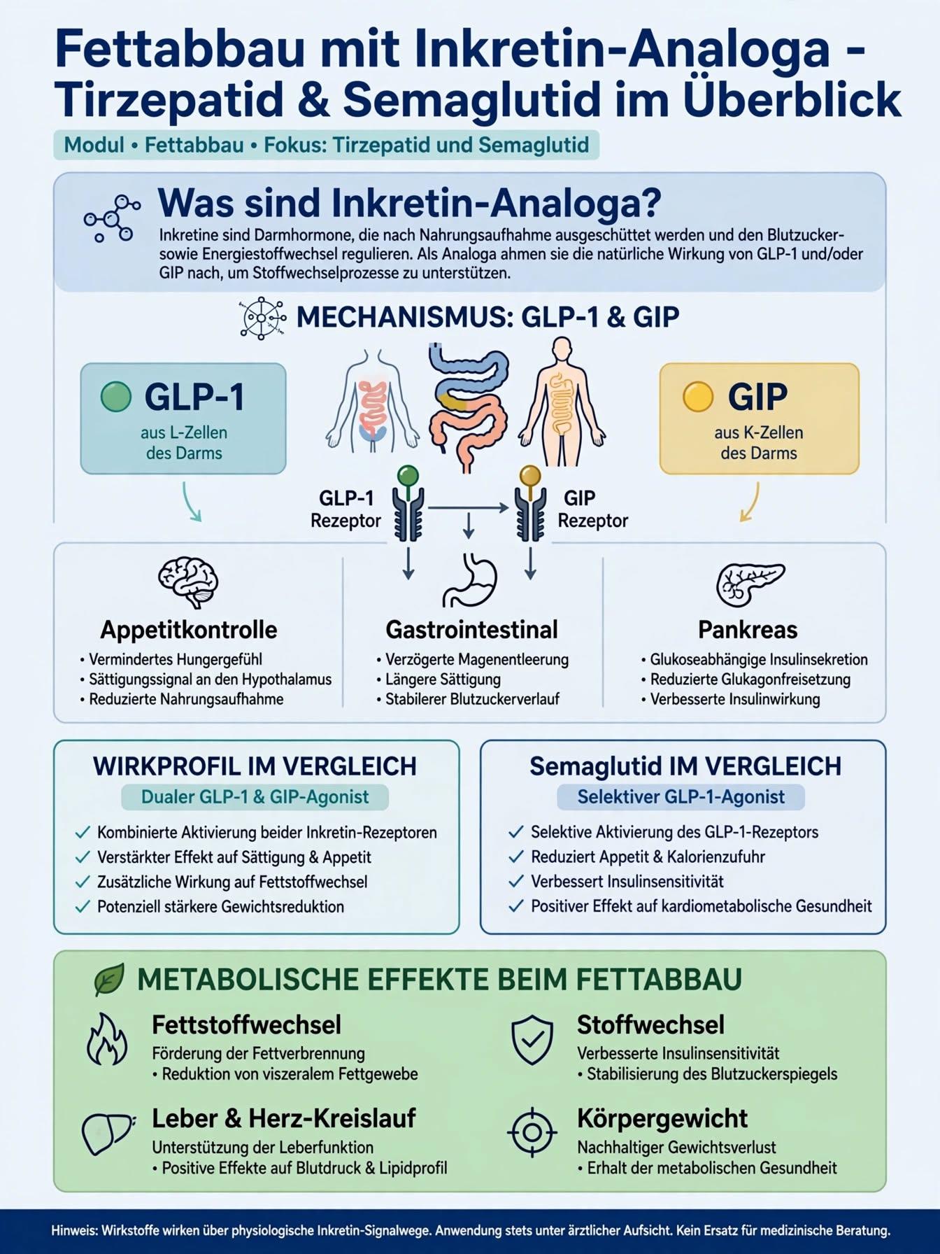 Fettabbau mit Inkretin-Analoga — Tirzepatid & Semaglutid im Überblick
