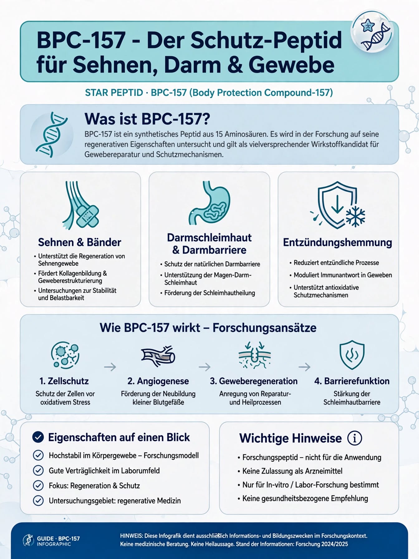 BPC-157 — Der Schutz-Peptid für Sehnen, Darm & Gewebe