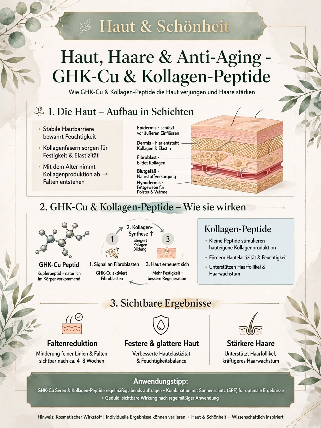 Haut, Haare & Anti-Aging — GHK-Cu & Kollagen-Peptide