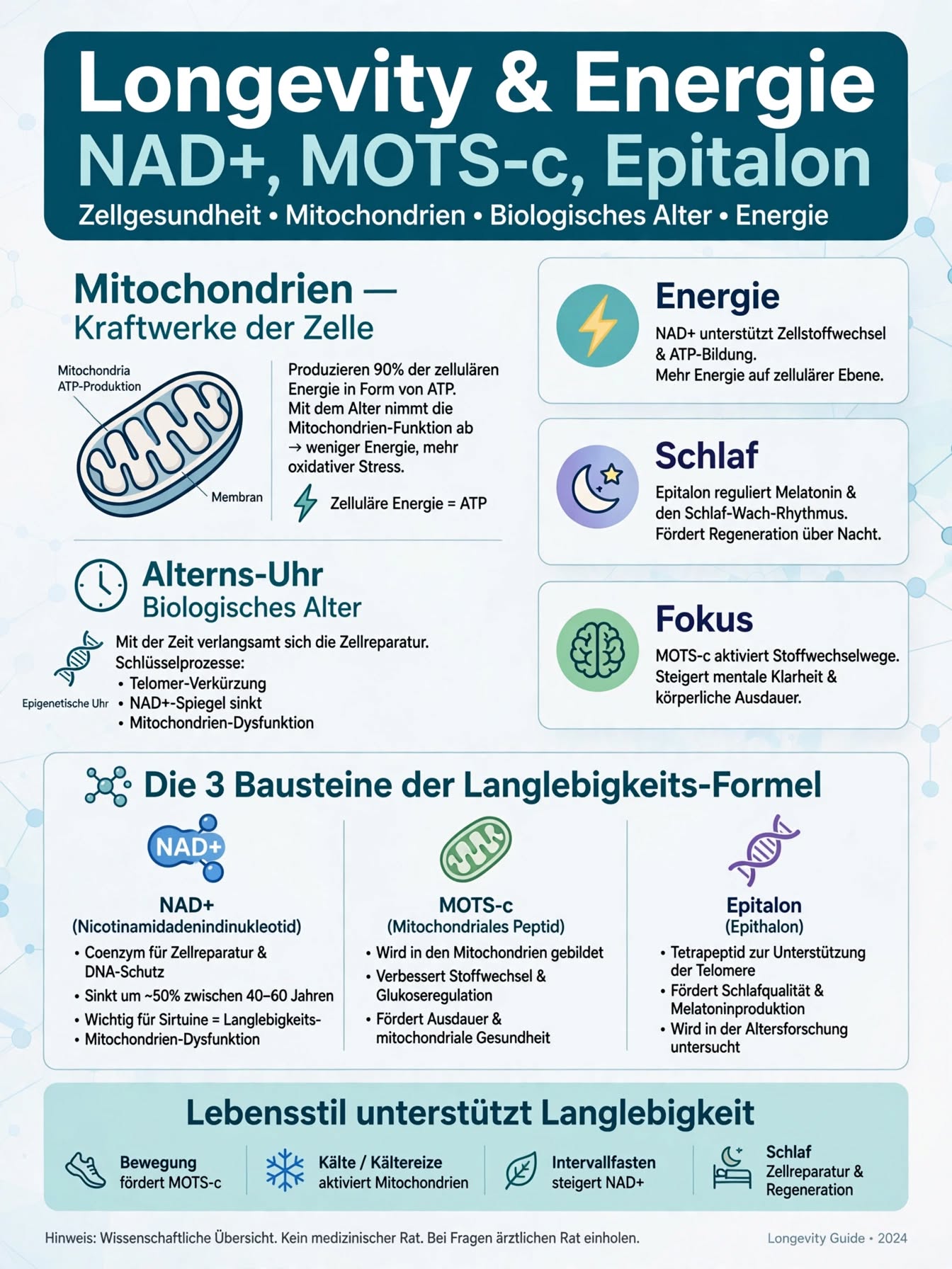 Longevity & Energie — NAD+, MOTS-c, Epitalon